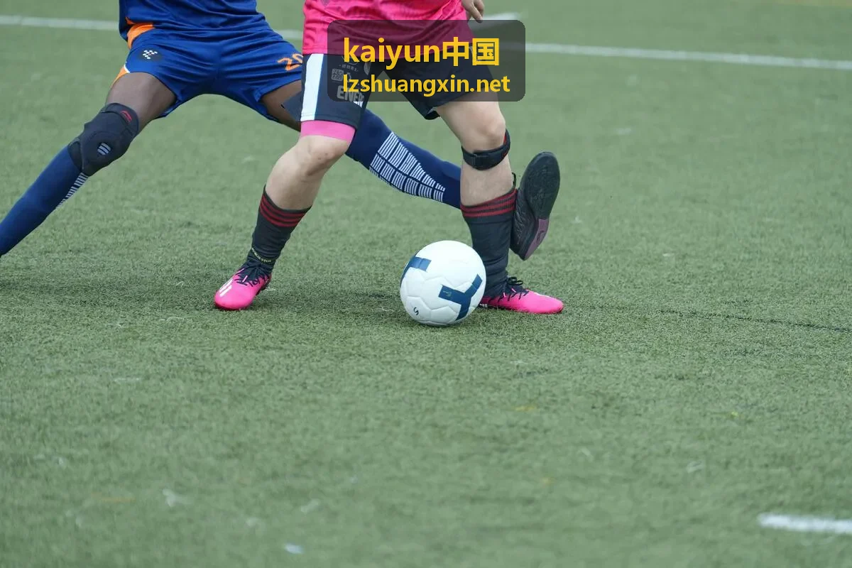 kaiyun中国客户端主界面示意