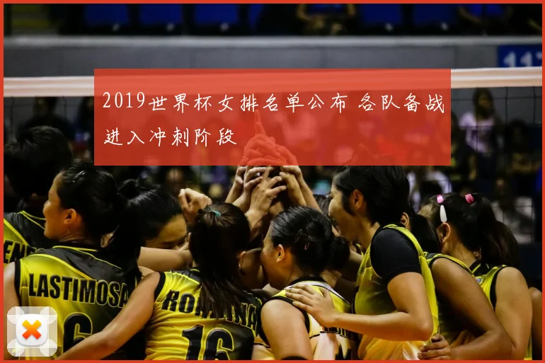 2019世界杯女排名单公布 各队备战进入冲刺阶段